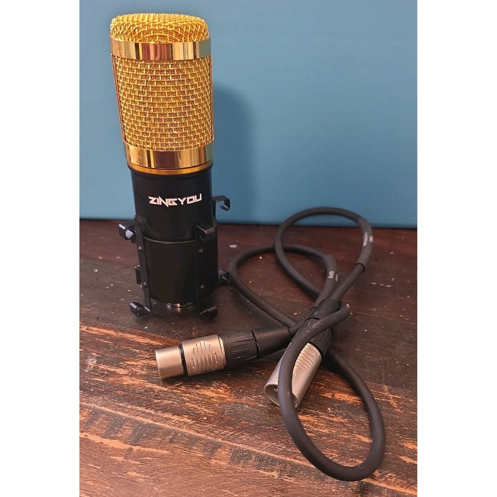 ZINGYOU Condenser Microphone and Cord, PC Professional Cardioid